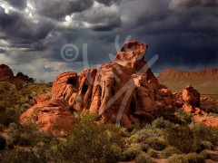 NEVADA Valley of Fire